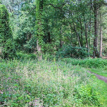 Huiske Oan T Bos Lage Mierde Bagian luar foto